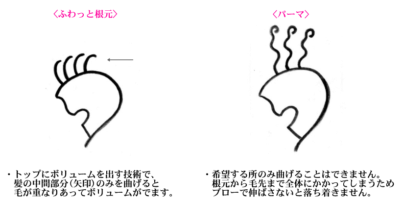 ふわっと根元とパーマの違い