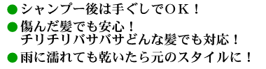 簡単ケアでまとまるスタイル