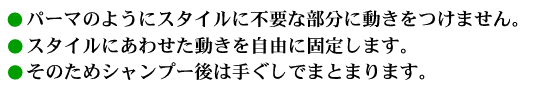 素直髪スタイリングとは？