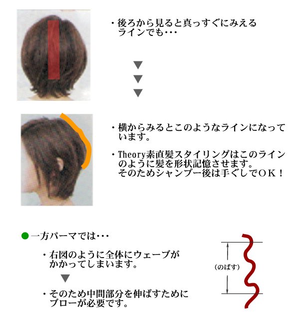 後ろと横の見た目の違い